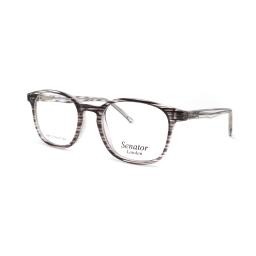 Hilton Eyewear Senator 368