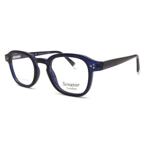 Hilton Eyewear Senator 379