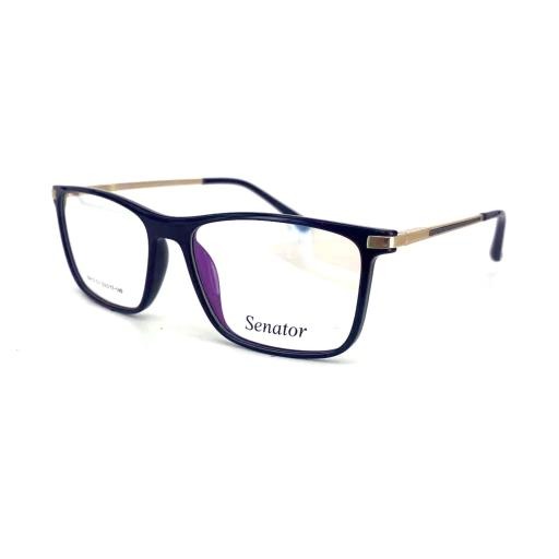 Hilton Eyewear Senator 612