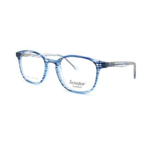 Hilton Eyewear Senator 618