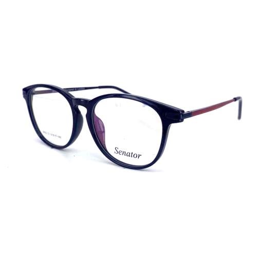 Hilton Eyewear Senator 622